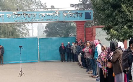 বকেয়া বেতনের দাবিতে যমুনা সার কারখানায় আউটসোর্সিং শ্রমিকদের কর্মবিরতি